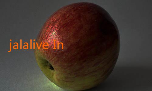 jalalive Indonesia-Menyelami Inovasi Teknologi dengan Jalalive APM: Solusi Cerdas untuk Pengelolaan Aset Digital