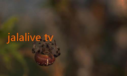 jalalive tv-Mengenal Lebih Dekat Jalalive Barca: Raih Sensasi Baru dalam Dunia Sepak Bola Digital