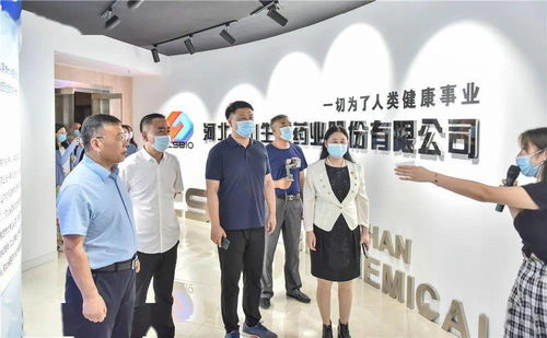 v看石家莊 美麗省會行 網絡主題宣傳活動啟動