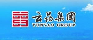 云藥醫藥產業集團股份