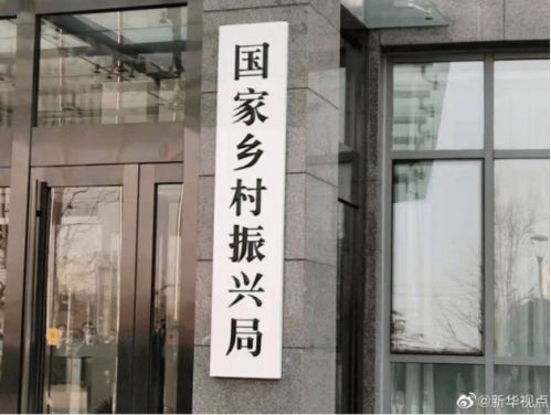 重磅預告,別錯過了 早安,中山